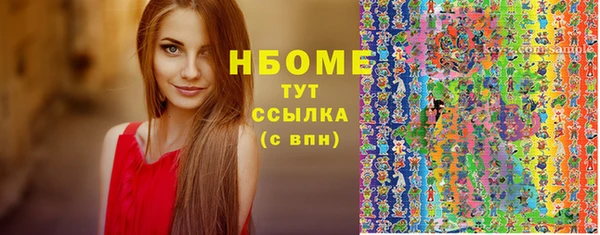 гидра Богородск