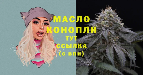 тгк Володарск